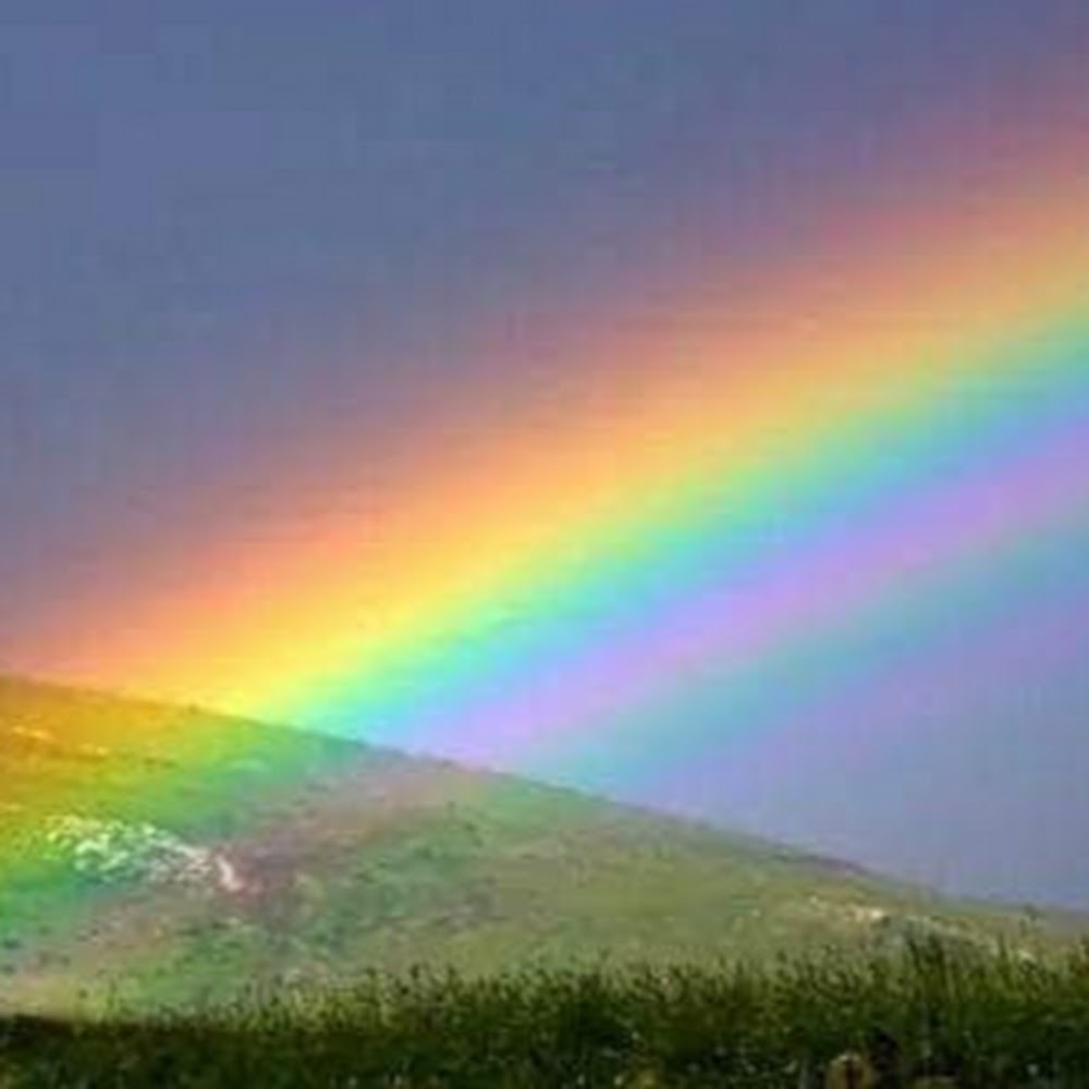 Meet your Posher, Dr